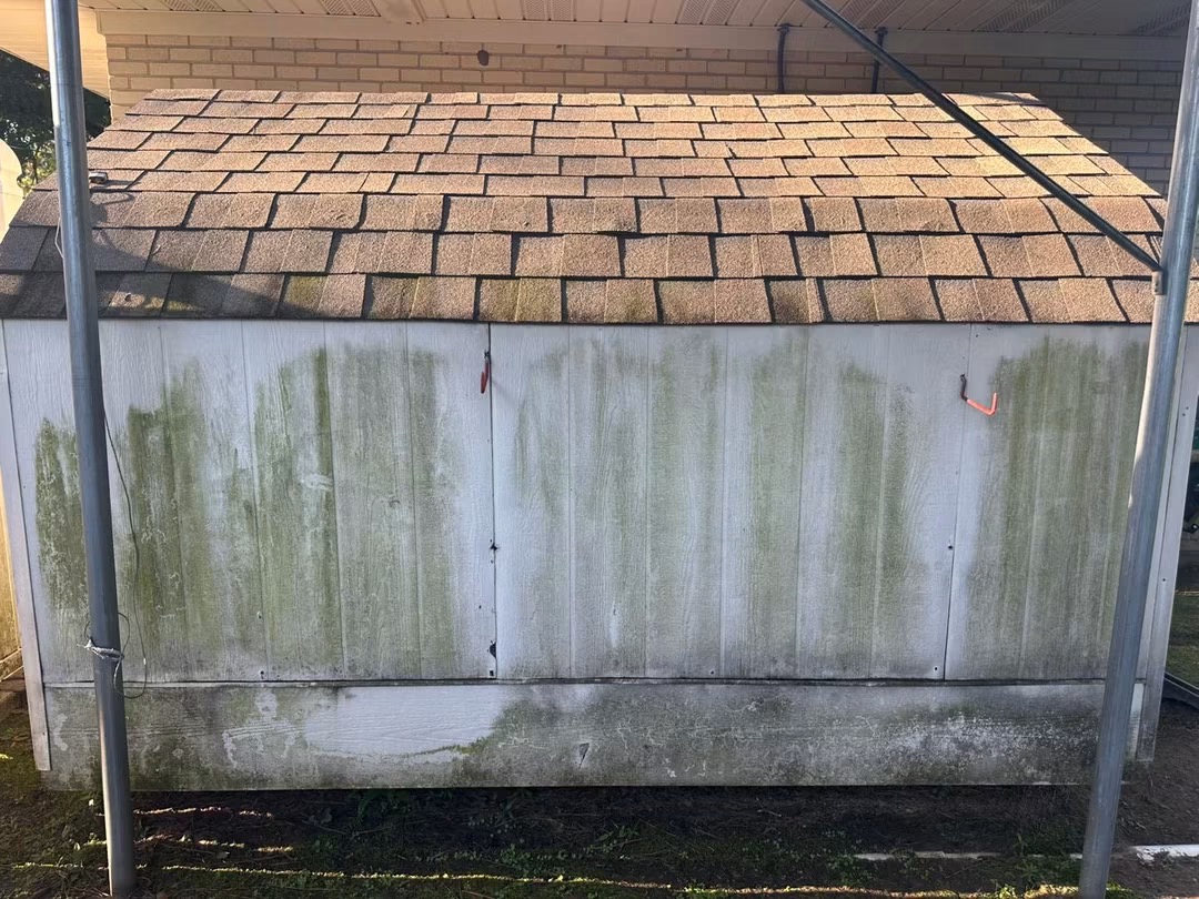 Backyard shed before washing, covered in algae and mildew