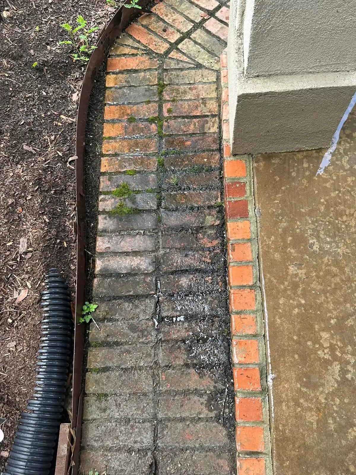 Brick walkway before washing, dark with moss and grime