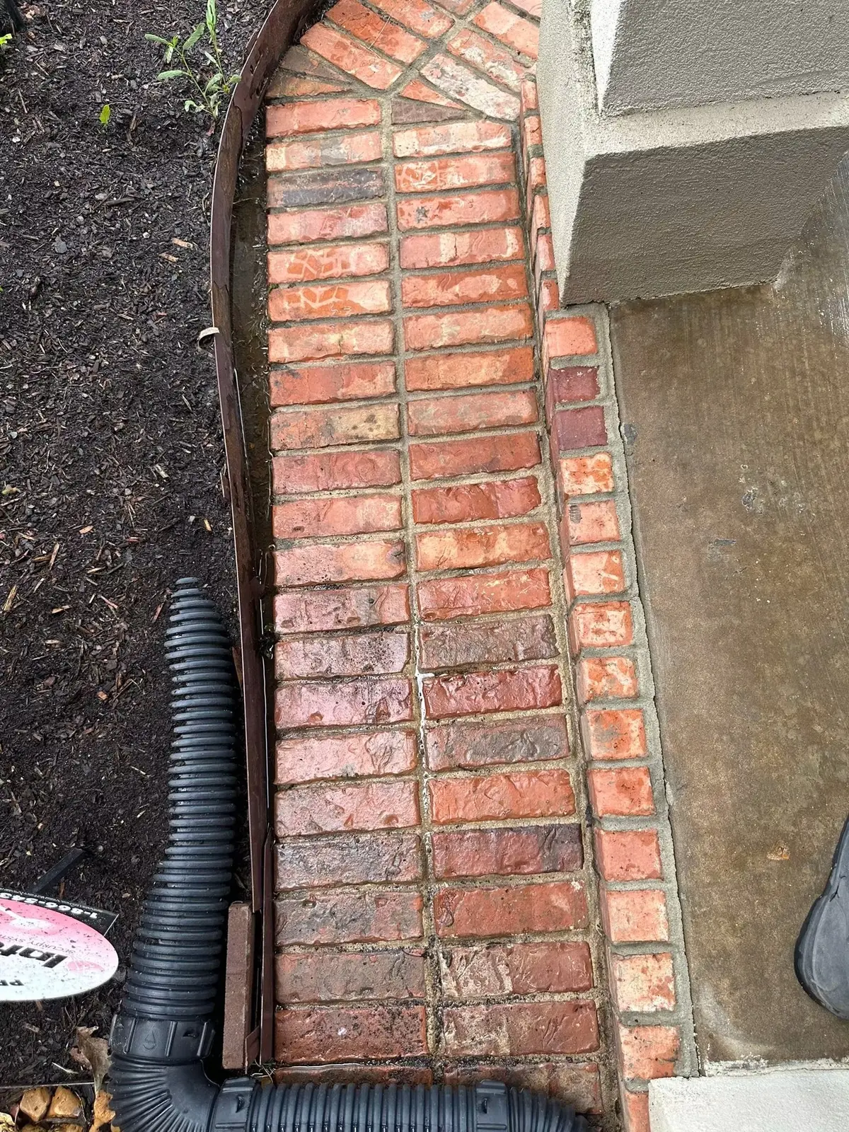 Brick walkway after washing, bright and clean